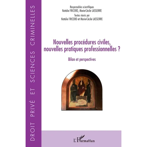 Nouvelles procédures civiles, nouvelles pratiques professionnelles ?: Bilan et perspectives