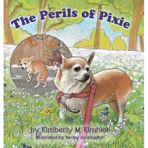 The Perils of Pixie