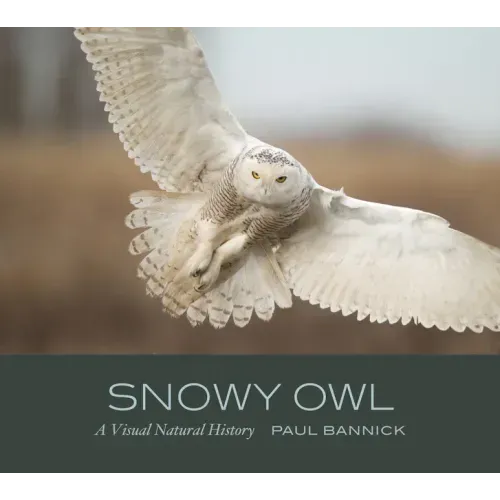 Snowy Owl: A Visual Natural History