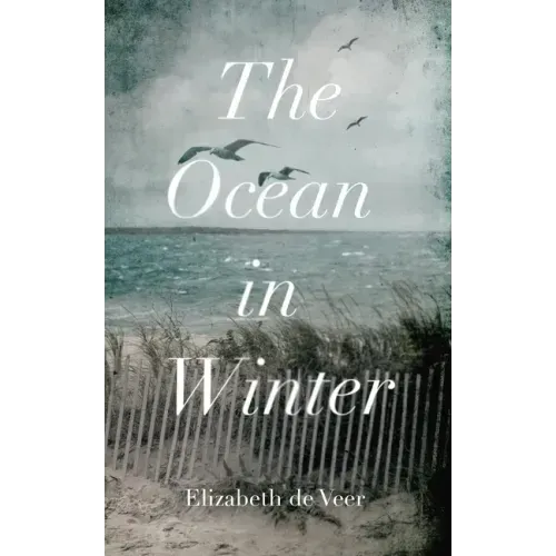 The Ocean in Winter