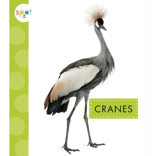 Cranes