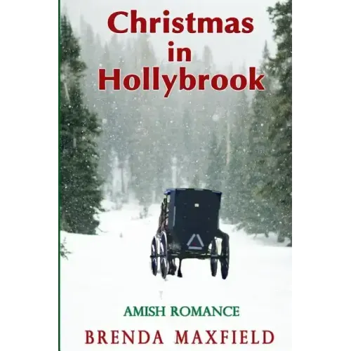 Christmas in Hollybrook: Amish Romance