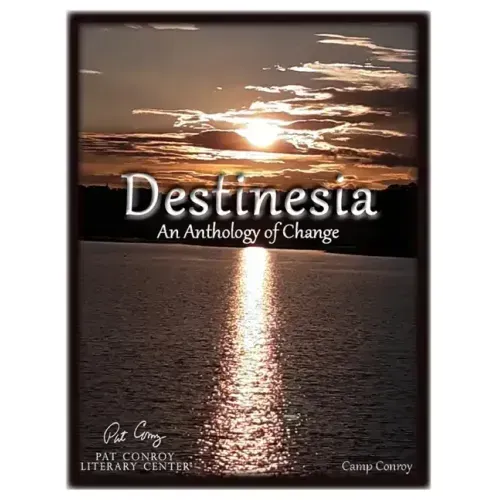 Destinesia: An Anthology of Change
