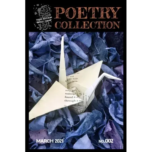 Teen Author Boot Camp Poetry Collection: Volume 2