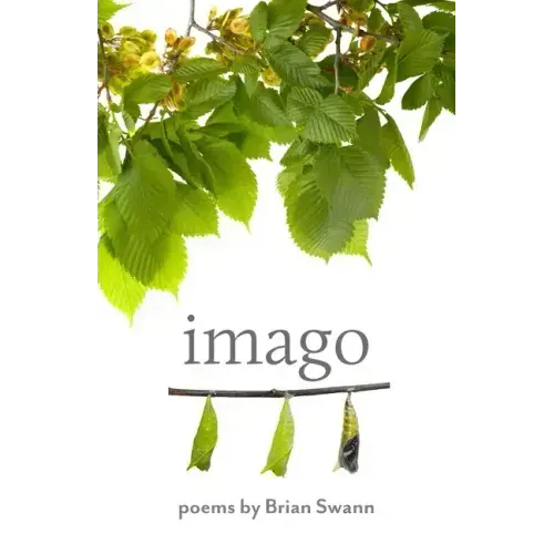 Imago