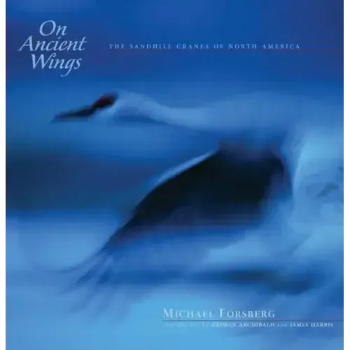 On Ancient Wings: The Sandhill Cranes of North America