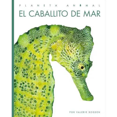 El Caballito de Mar