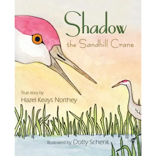 Shadow the Sandhill Crane