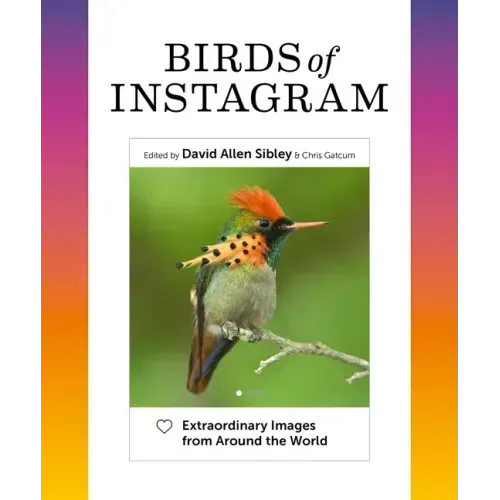 Birds of Instagram: Extraordinary Images from Around the World