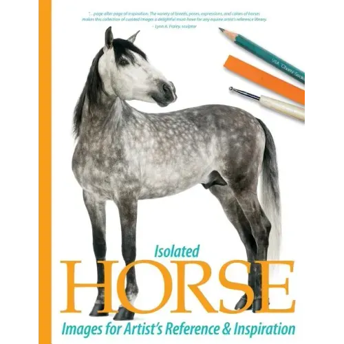 Isolated Horse Images for Artist's Reference and Inspiration
