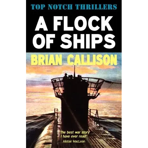 A Flock of Ships