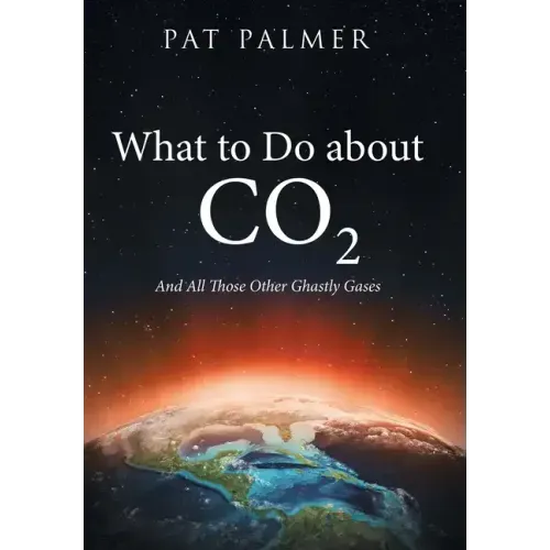 What to Do About Co2: And All Those Other Ghastly Gases