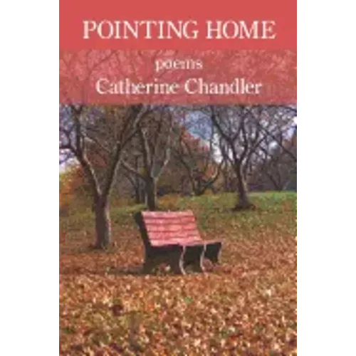 Pointing Home