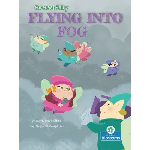 Flying Into Fog