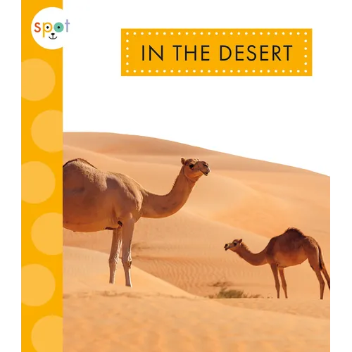In the Desert