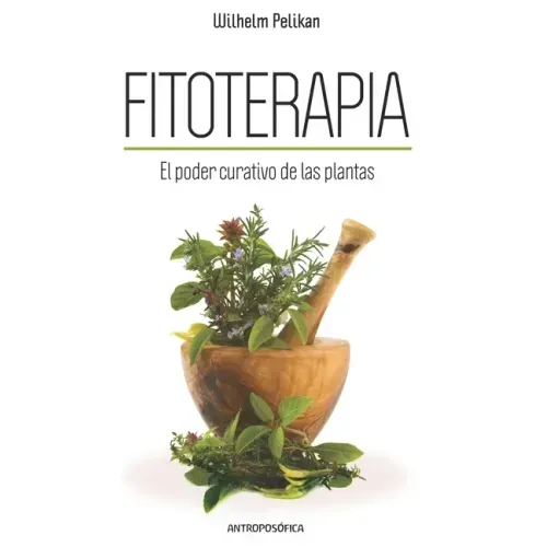 Fitoterapia: El poder curativo de las plantas