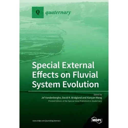 Special External Effects on Fluvial System Evolution