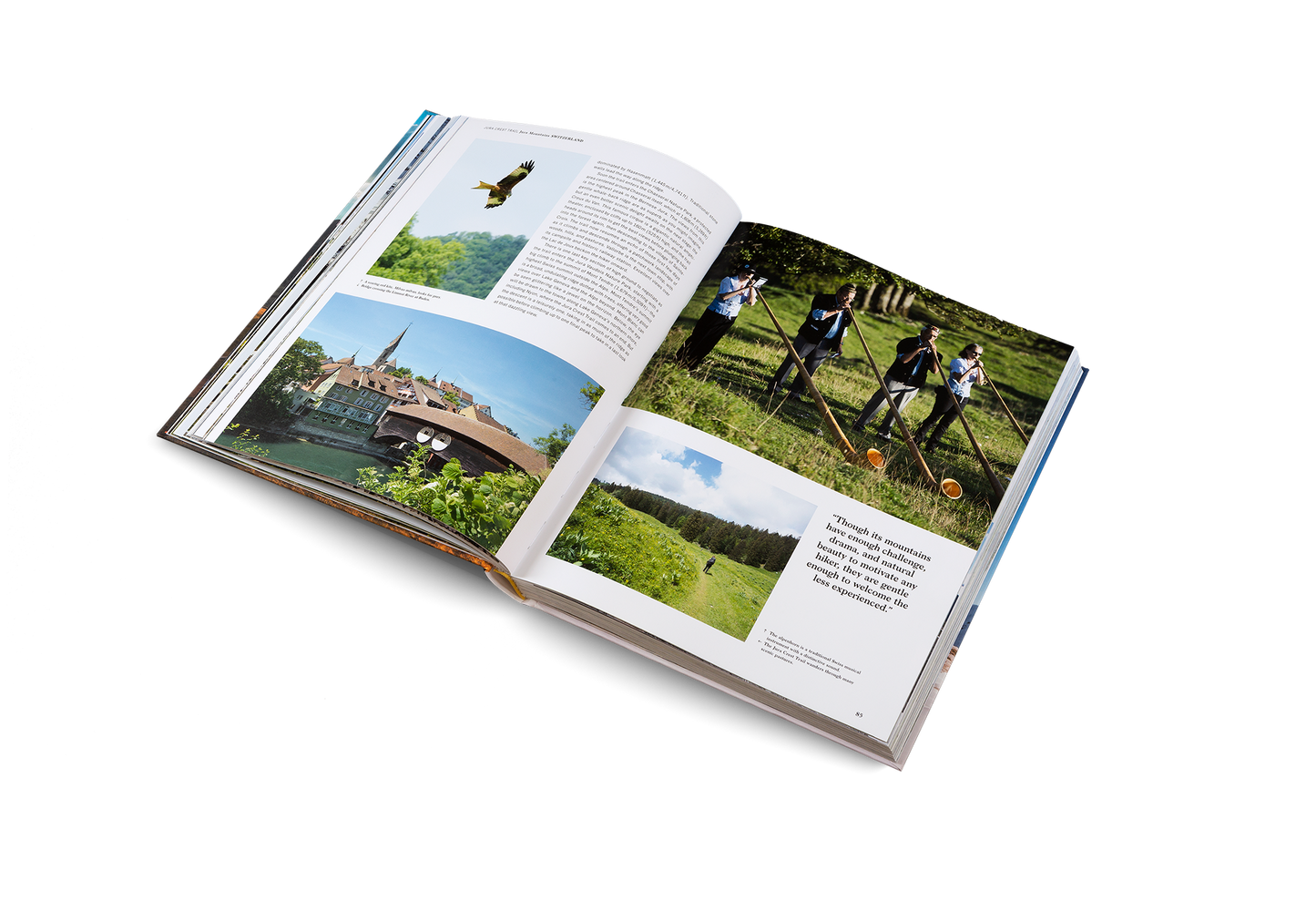 Wanderlust Alps Book