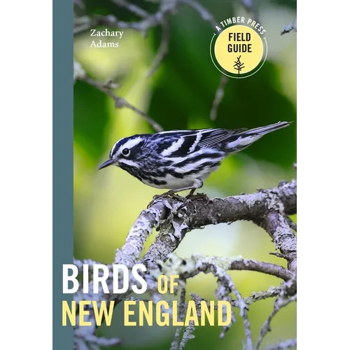 Birds of New England: A Timber Press Field Guide