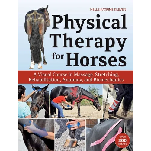 Physical Therapy for Horses