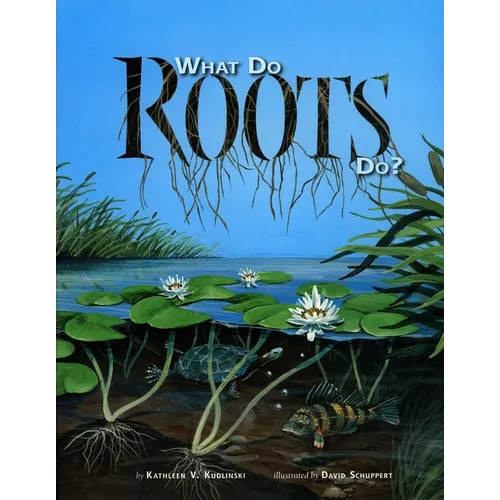 What Do Roots Do?