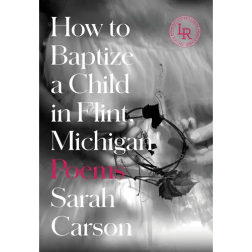 How to Baptize a Child in Flint, Michigan: Poems