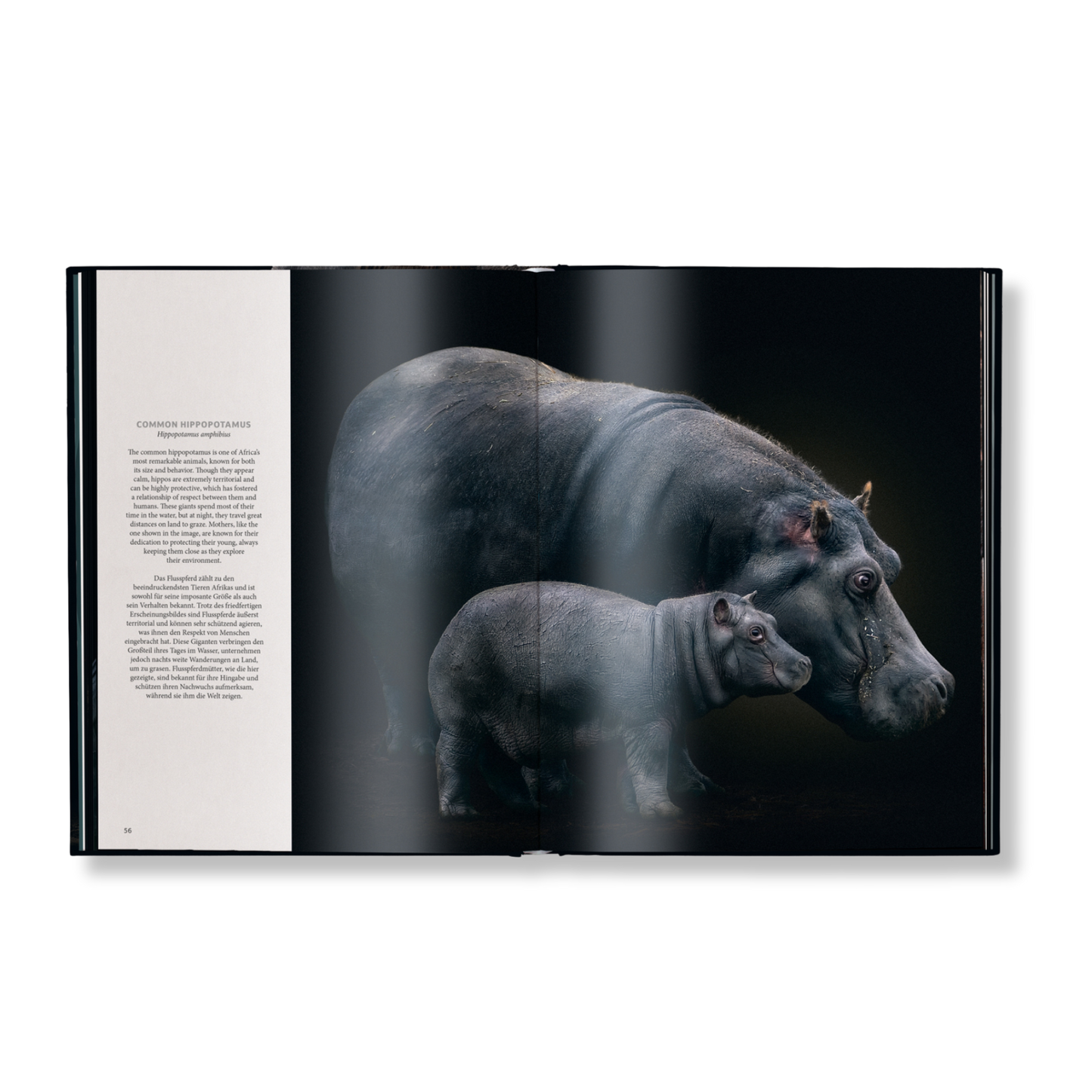 WildLOVE Book