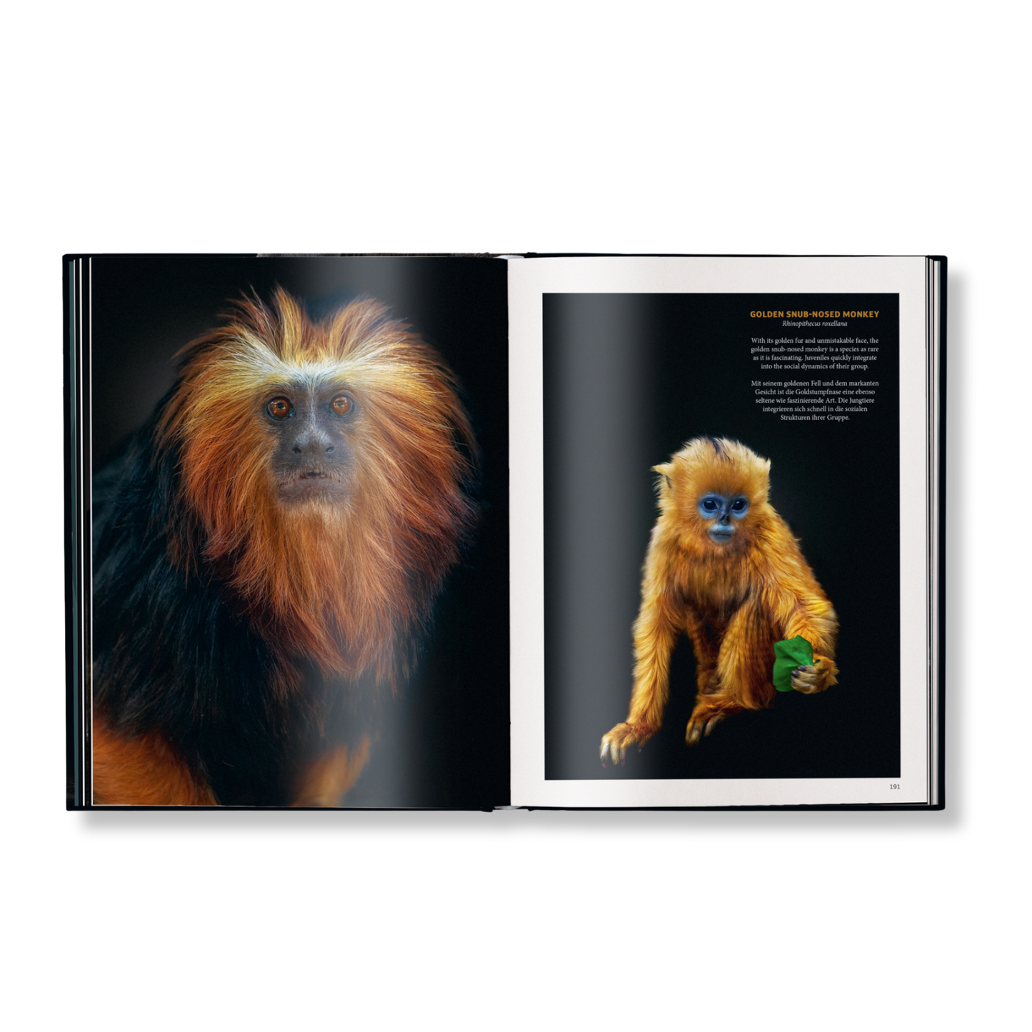 WildLOVE Book