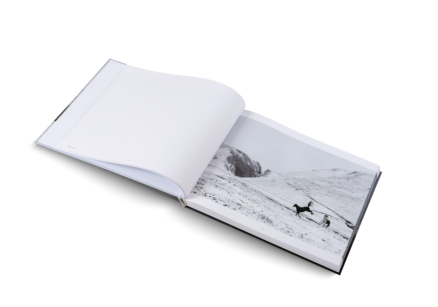Winterland Book
