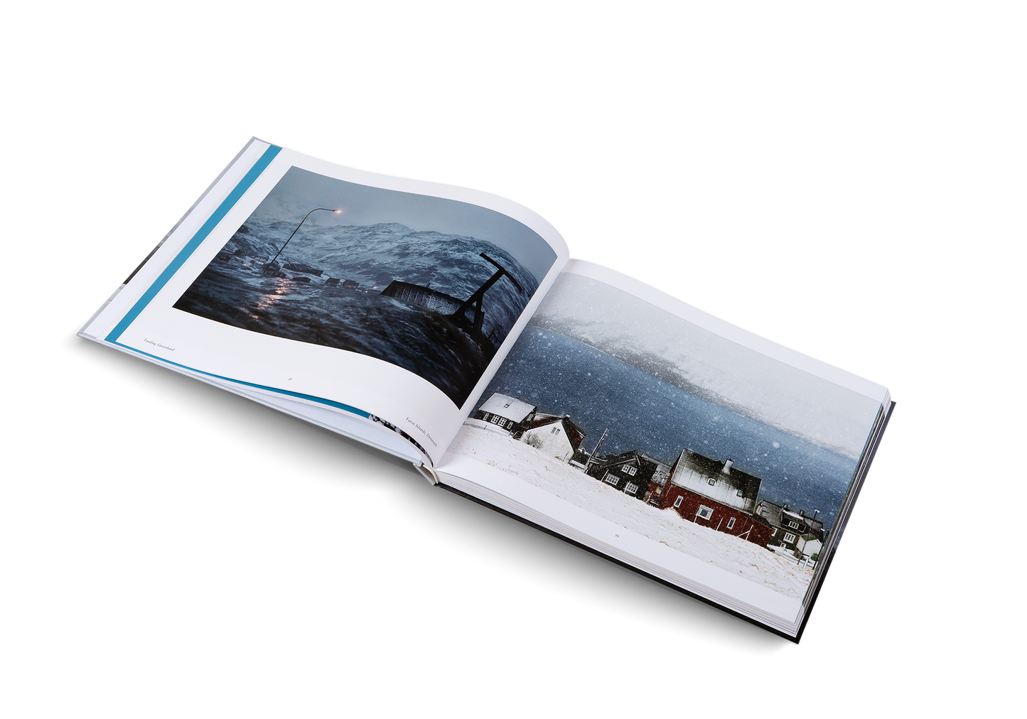 Winterland Book
