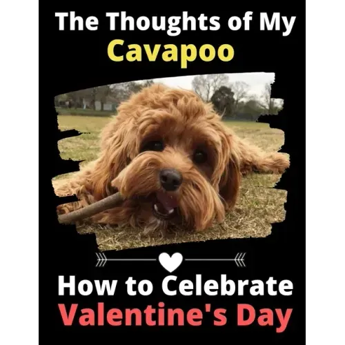 The Thoughts of My Cavapoo: How to Celebrate Valentine's Day