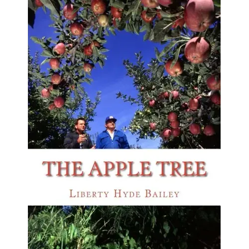 The Apple Tree: A Guide To Growing Apples At Home