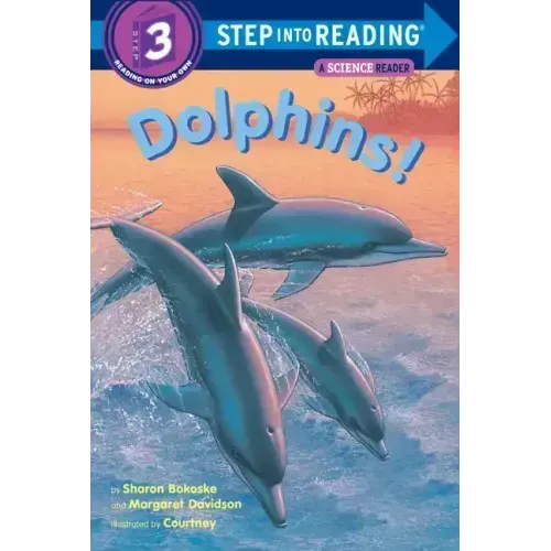 Dolphins!