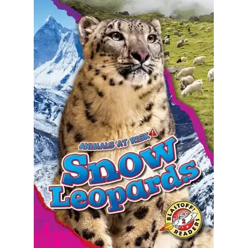 Snow Leopards