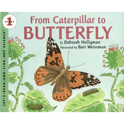 From Caterpillar to Butterfly