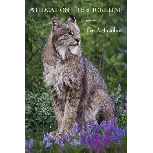 Wildcat on the Shoreline