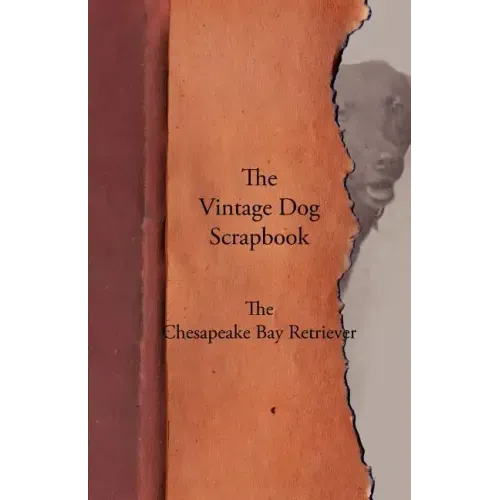The Vintage Dog Scrapbook - The Chesapeake Bay Retriever