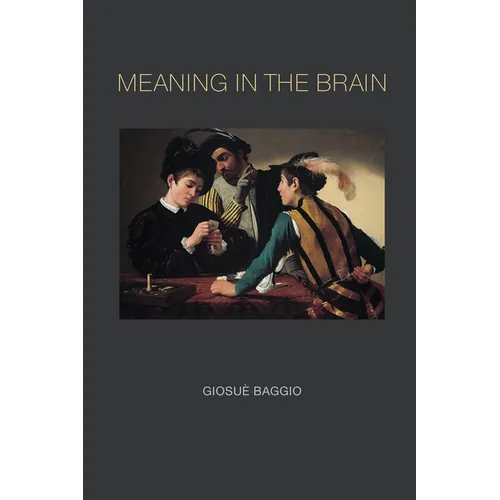 Meaning in the Brain