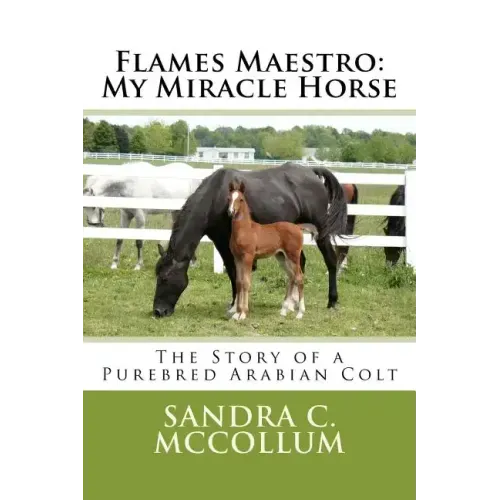 Flames Maestro: My Miracle Horse: The Story of a Purebred Arabian Colt