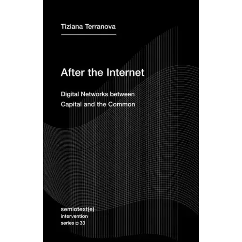 After the Internet: Digital Networks Between Capital and the Common