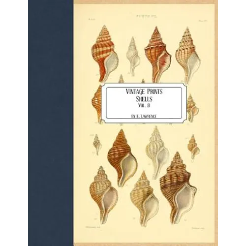 Vintage Prints: Shells: Vol. 8
