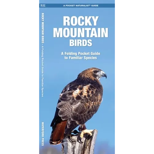 Rocky Mountain Birds: An Introduction to Familiar Species