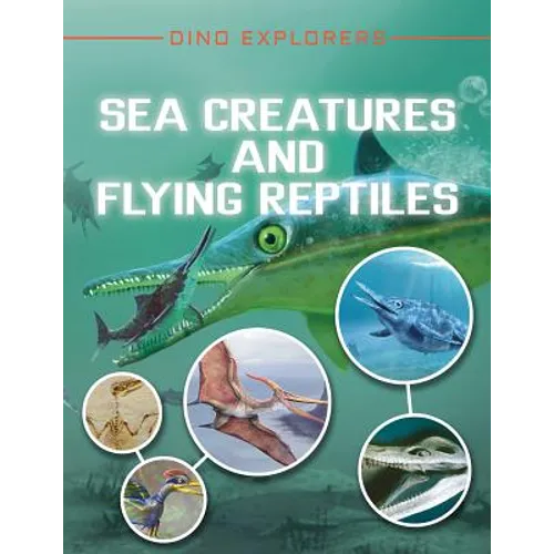 Sea Creatures and Flying Reptiles