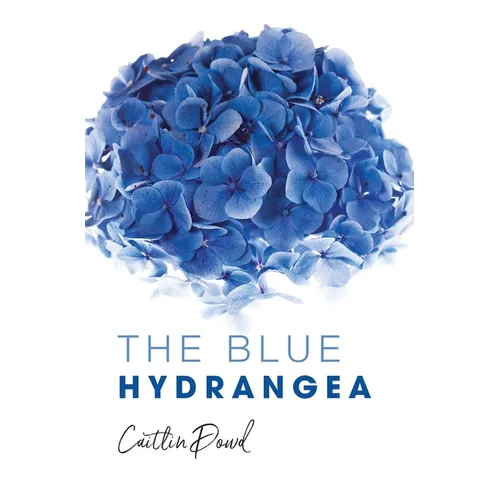 The Blue Hydrangea