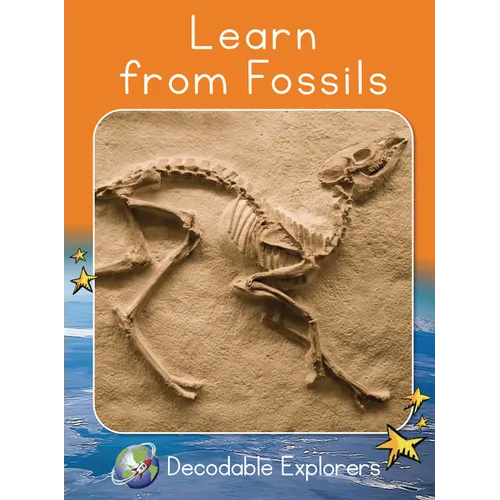 Learn from Fossils: Fluency Boost