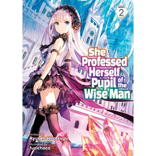 She Professed Herself Pupil of the Wise Man (Light Novel) Vol. 2