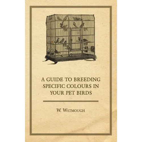 A Guide to Breeding Specific Colours in Your Pet Birds