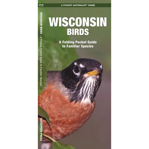 Wisconsin Birds: A Folding Pocket Guide to Familiar Species