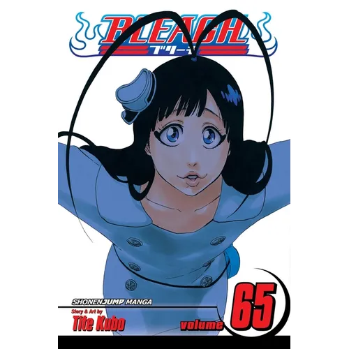 Bleach, Vol. 65