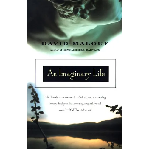 An Imaginary Life